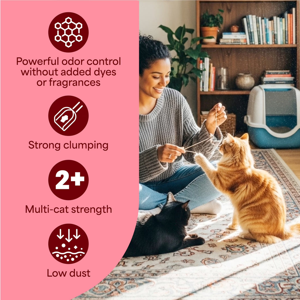 Say goodbye to odors with our Simply Unscented Clumping Cat Litter – 14 lbs of pure feline comfort! 🐾✨