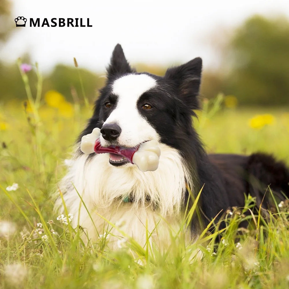 Unleash the Fun: Tough Chew Toys for Big Dogs Who Love to Chew! 🐾💪 #DogToys #AggressiveChewers