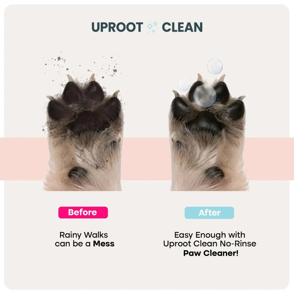 Uproot Paw Cleaner - Rinse-Free Foam Cleanser