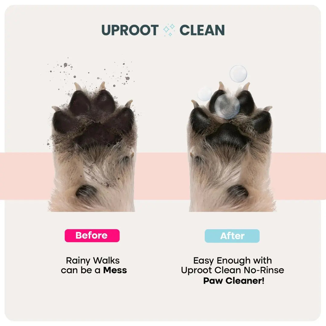 Uproot Paw Cleaner - Rinse-Free Foam Cleanser