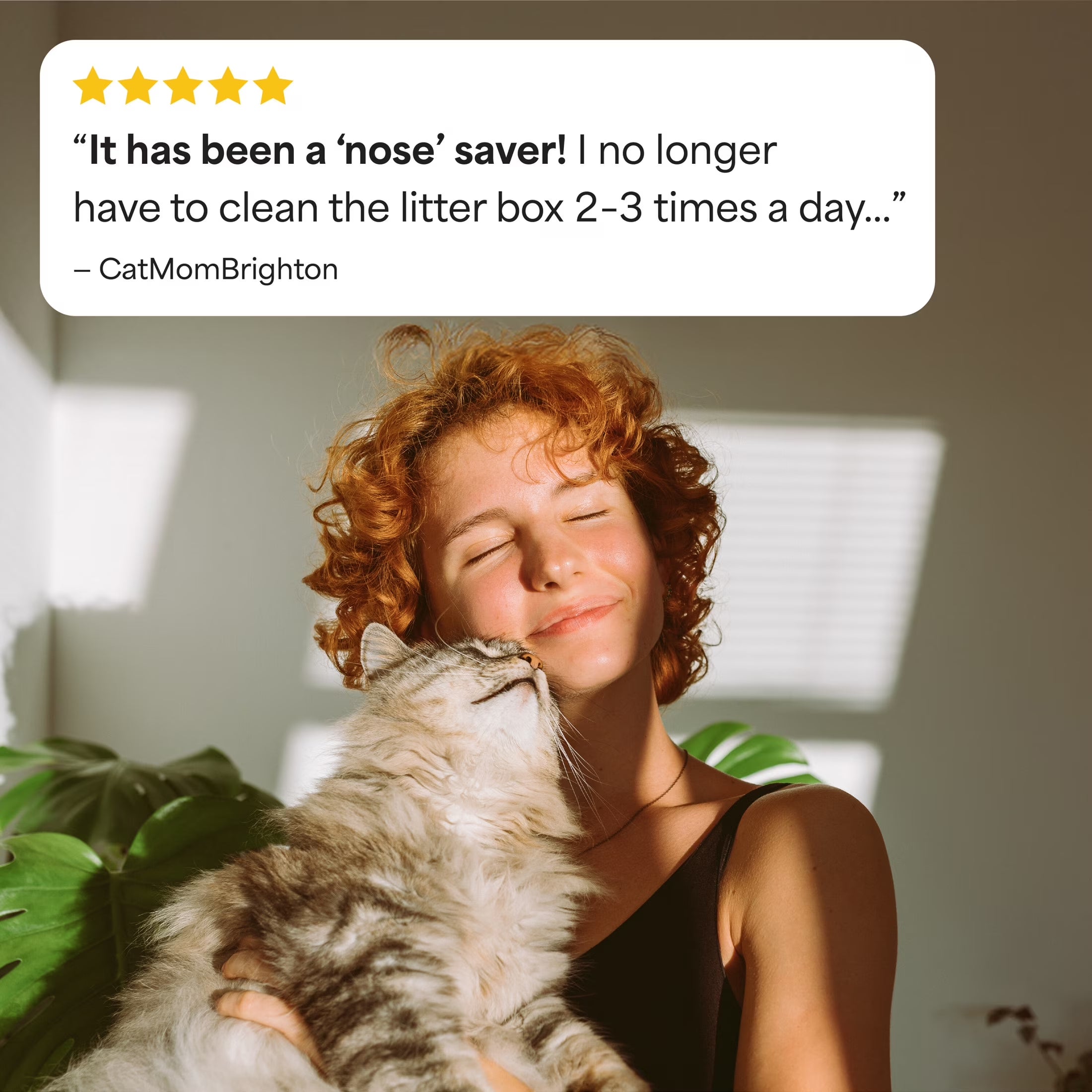 Say goodbye to odors with our Simply Unscented Clumping Cat Litter – 14 lbs of pure feline comfort! 🐾✨