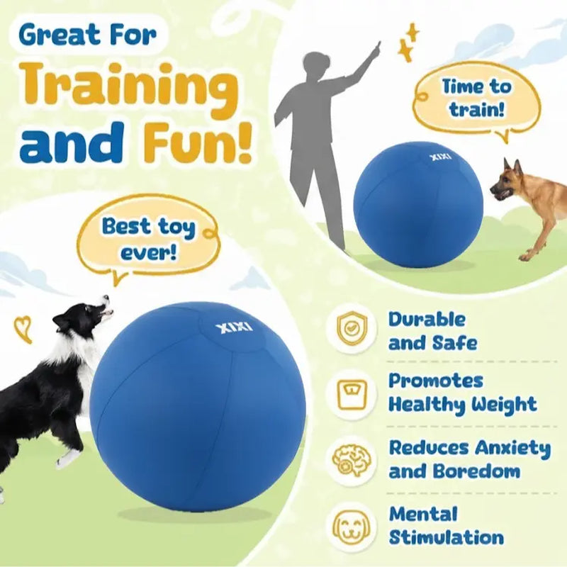 XIXI Inflatable Herding Ball for Dogs - Interactive Push & Chase Outdoor Toy - Durable Exercise Ball for High Energy Breeds&Summervibes