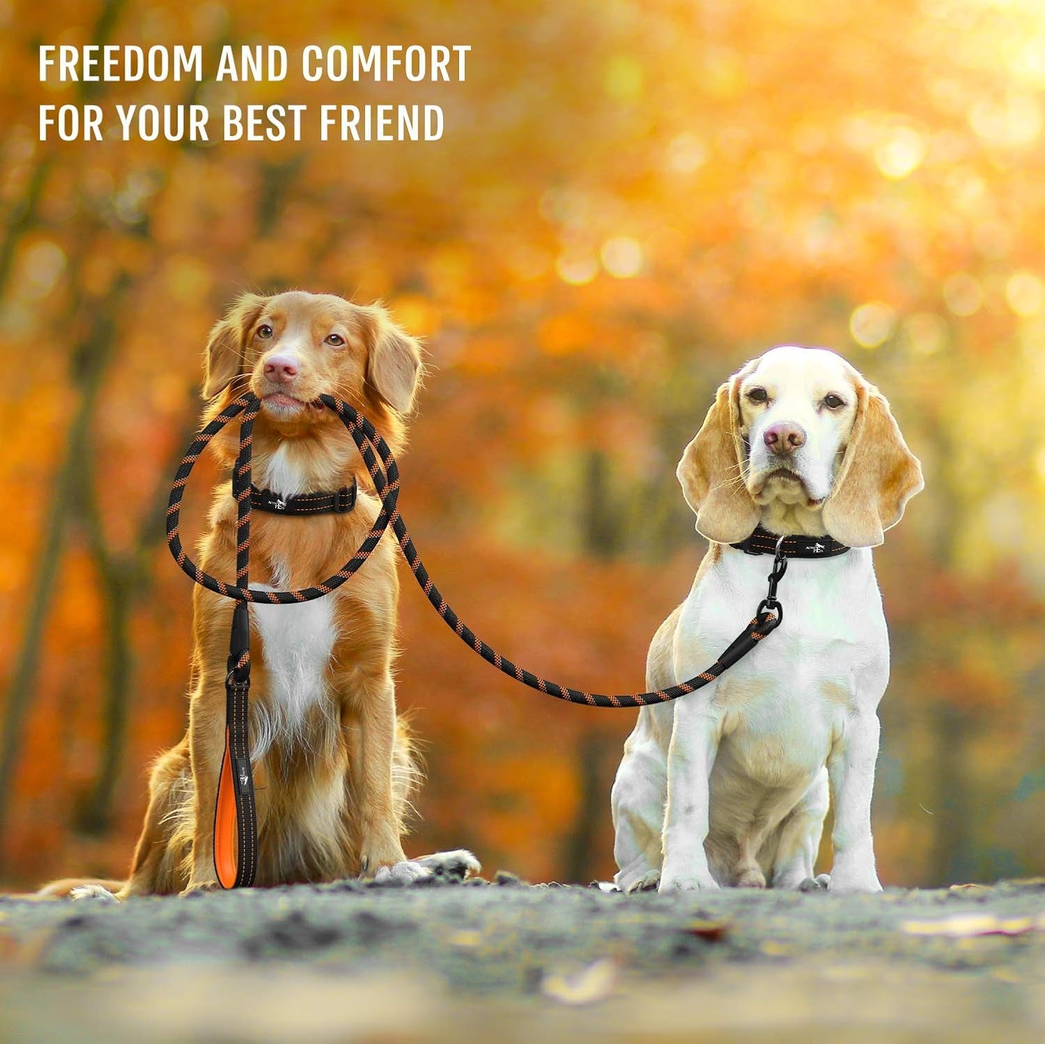 Durable Dog Rope Leash with Padded Handle and Reflective Threads, Suitable for Small, Medium, and Large Dogs - Ideal for Training, Running, and Walking