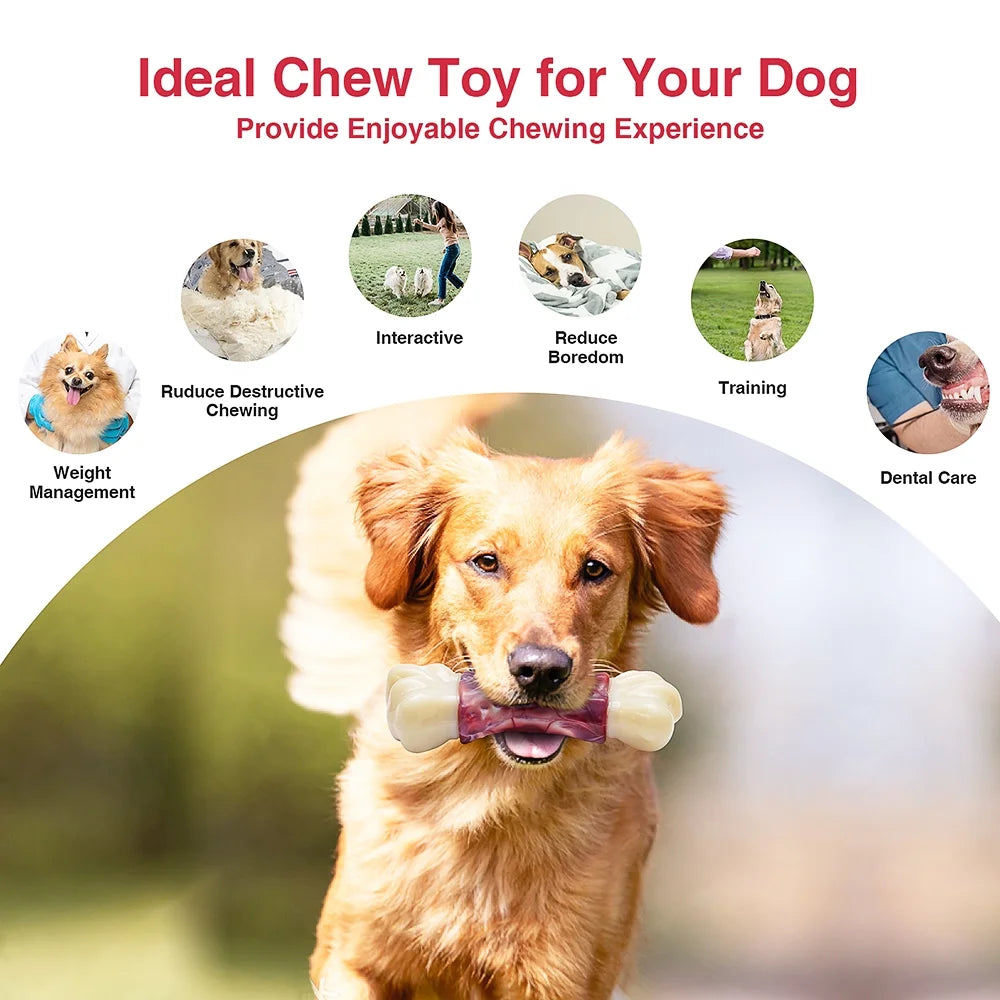 Unleash the Fun: Tough Chew Toys for Big Dogs Who Love to Chew! 🐾💪 #DogToys #AggressiveChewers