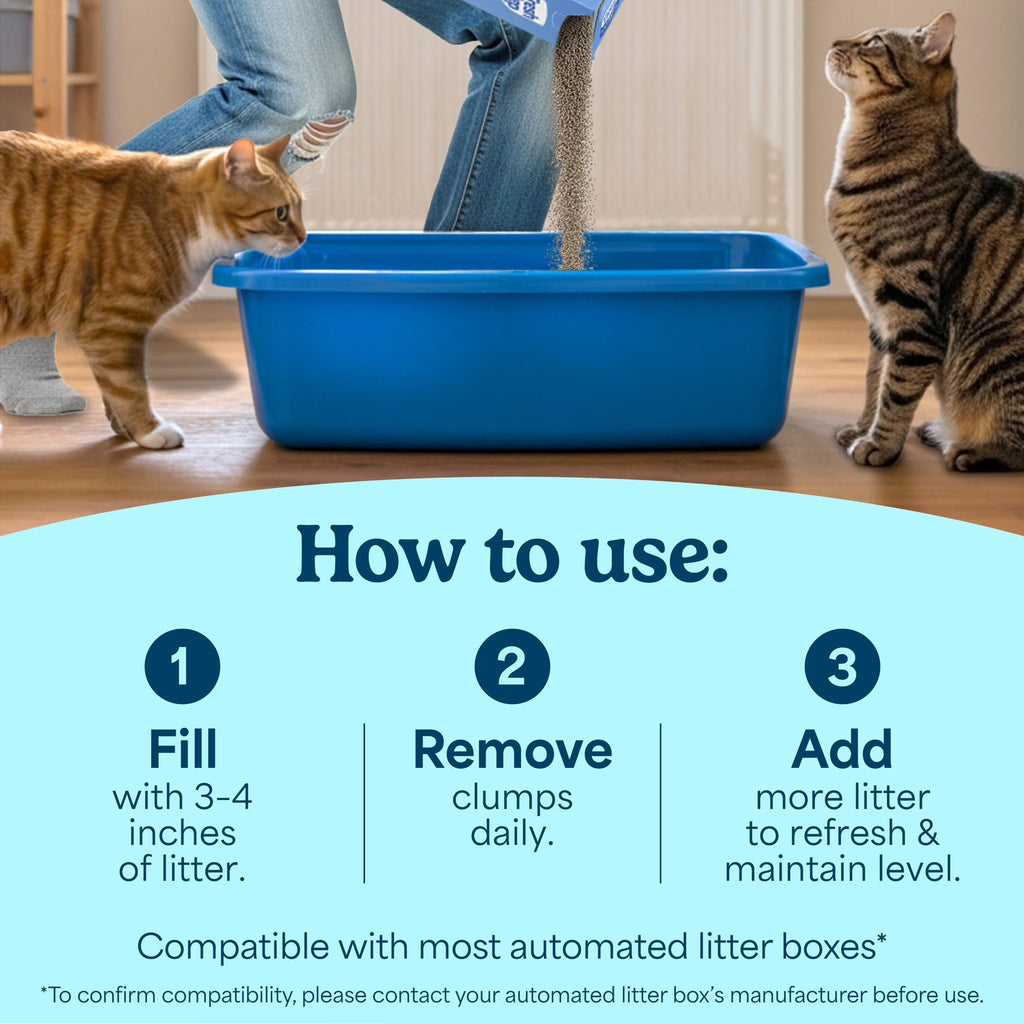 Say goodbye to odors with our Simply Unscented Clumping Cat Litter – 14 lbs of pure feline comfort! 🐾✨