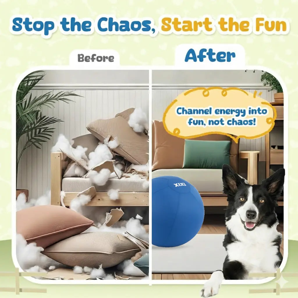 XIXI Inflatable Herding Ball for Dogs - Interactive Push & Chase Outdoor Toy - Durable Exercise Ball for High Energy Breeds&Summervibes
