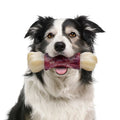 Unleash the Fun: Tough Chew Toys for Big Dogs Who Love to Chew! 🐾💪 #DogToys #AggressiveChewers