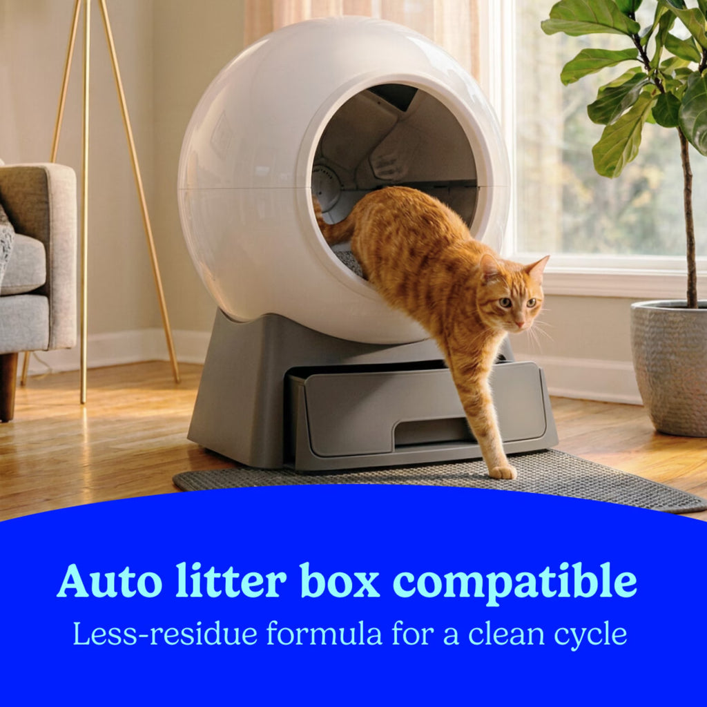 Say goodbye to odors with our Simply Unscented Clumping Cat Litter – 14 lbs of pure feline comfort! 🐾✨